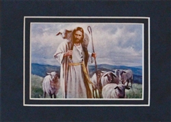 28-GOOD SHEPHERD